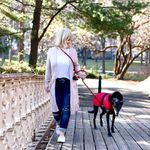 Profile Picture of Shannon Campbell (@scampbell71) on Instagram