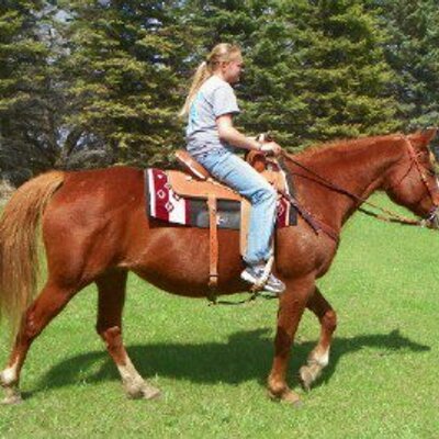 Profile Picture of Chris Mahnke (@chrismahnke) on Twitter