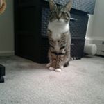 Profile Picture of bianca alejos (@biancalejos2016) on Instagram