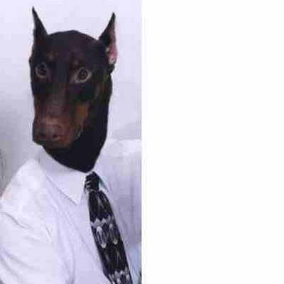 Profile Picture of Darren Angus (@darrenangus) on Twitter