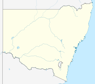 Profile Picture of Nelson Bayon Wikipedia