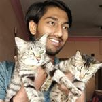 Profile Picture of Akshay Kamath (@mr__akshay) on Instagram