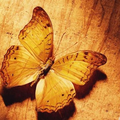 Profile Picture of Judy Estrada (@judyestrada987) on Twitter