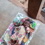 Profile Picture of Daniel Le Petit Rich (@Daniel-Le-Petit-Rich) on Facebook