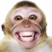 Profile Picture of Randall Vincent (@randallvincent6760) on Youtube