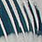 Profile Picture of Chuba.ruba (@chuba.ruba) on Flickr