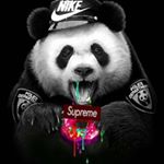 Profile Picture of michaellimberth@gmail.com (@michaellimberthgmail.com3) on Instagram