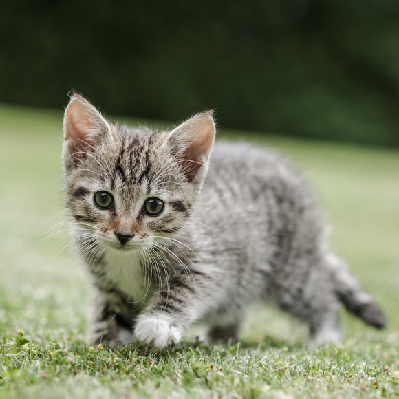 Profile Picture of Angelina Glauber (@angelinaglauber) on Poshmark