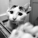 Profile Picture of Amy Pettit (@amy.pettit.986604) on Facebook