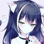 Profile Picture of Iris braden (@dragon_fly_dragon_bug) on Instagram