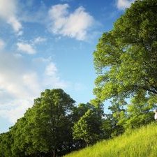 Profile Picture of Nery  Pérez (@Nerytoperez) on Twitter