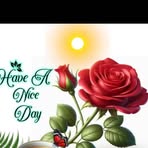 Profile Picture of Ricky Grande (@ricky.grande.267516) on Facebook