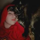 Profile Picture of   Alexis Levasseur... (@thegohstking) on Tiktok