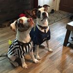 Profile Picture of Dallas and Dixon (@dixon.dallasdog) on Instagram