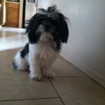 Profile Picture of Bailey Ann Denogean (@_.bailey._109) on Instagram