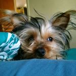 Profile Picture of Daniel Alexis Neira Pozas (@daniel.neira.pozas) on Instagram