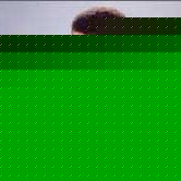 Profile Picture of Jimmy Summerson (@killroys) on Myspace