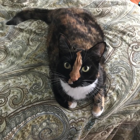 Stephanie Stump - Poshmark Profile Picture of Stephanie Stump (@blurpley) on Poshmark