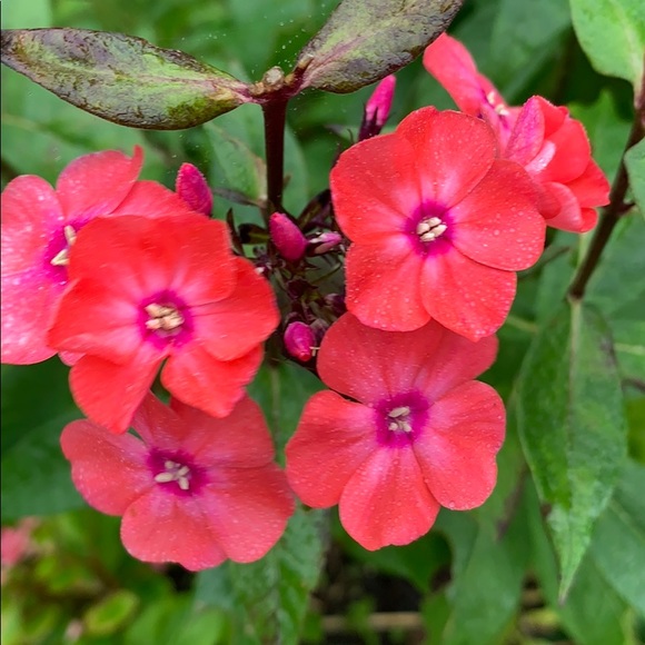 Profile Picture of Wendy Zakel (@wlz11) on Poshmark