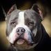 Profile Picture of Jason Crable (@jason.crable.5) on Facebook