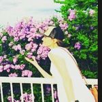 Profile Picture of Julie Hicks Riches (@mintejulip) on Instagram