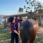 Profile Picture of Fabian Barboza (@Fabian-Barboza) on Facebook