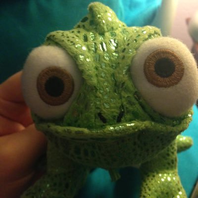 Profile Picture of Pascal Snipes (@PascalCam) on Twitter