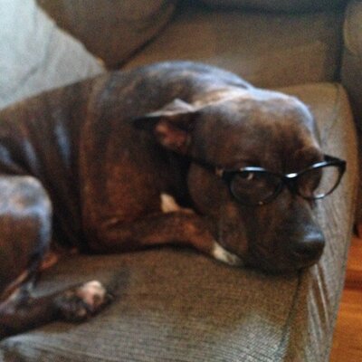 Profile Picture of J Boogie (@Curt_Metcalf) on Twitter