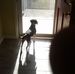 Profile Picture of Steven Grider (@steven.grider.73) on Facebook