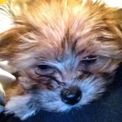 Profile Picture of Ames (@@MarkEricAmes) on Twitter