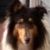 Profile Picture of Sharon Hepler (@docrock62) on Pinterest