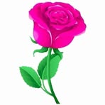 Profile Picture of Amir Aly (@Amir-Aly) on Facebook