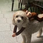 Profile Picture of Matthew Barrios (@matthewbar234) on Instagram