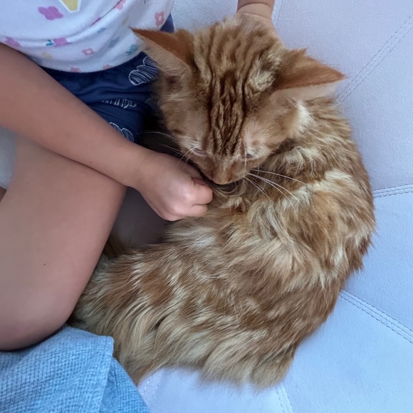 Profile Picture of Grace Ferrall (@awsomegrace004) on Poshmark