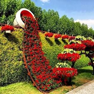 Profile Picture of Alice Juarez (@7d36941829c147d) on Twitter