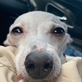 Profile Picture of Leanne Helfrich (@leema16) on Pinterest