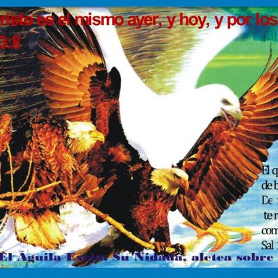 Profile Picture of Jose Rosero (@joserosero15) on Twitter