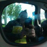 Profile Picture of Alex Bergsma (@alexbergsma) on Instagram