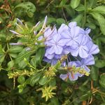 Profile Picture of Hannah Grandy (@hamgrandy) on Instagram