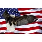 Profile Picture of Gary Versluys Sr. (@Gary-Versluys-Sr) on Facebook