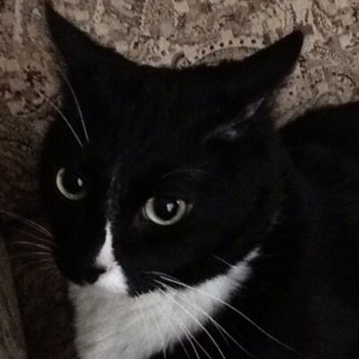 Scott Macauley - Twitter Profile Picture of Scott Macauley (@vicar1969) on Twitter