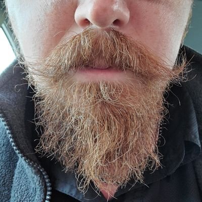 Profile Picture of TheBeard (aka Don P) (@TheSobaer) on Twitter