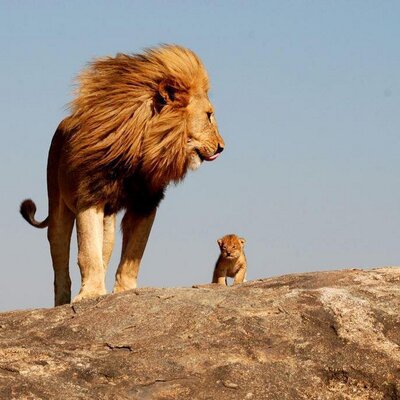 Profile Picture of Irvin Colin (@IrvinColin1) on Twitter