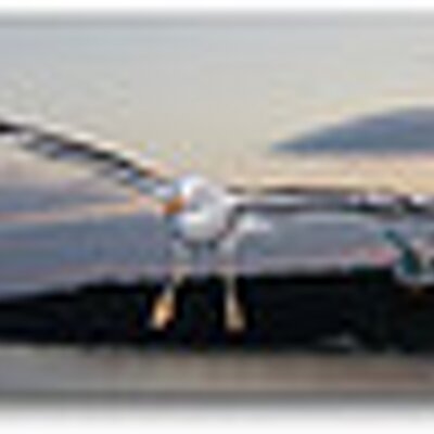 Profile Picture of David Eales (@DavidEales1) on Twitter