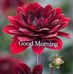 Profile Picture of Halema Marzooqi (@halema.marzooqi.9) on Facebook