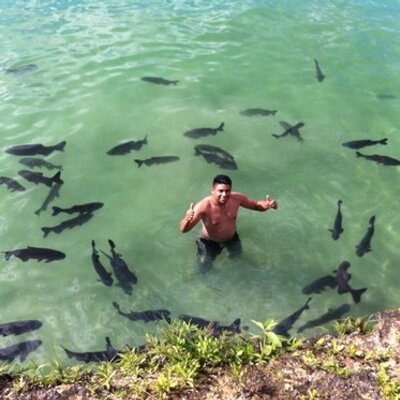 Profile Picture of Oscar Astudillo (@oscarete26) on Twitter