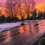 Profile Picture of Shane Angelo Micciche (@shanemicciche) on Instagram