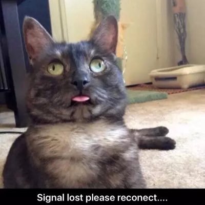 Profile Picture of Nick Murdoch (@NickScope_215) on Twitter