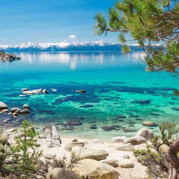 Profile Picture of Tony Dughman (@akaaburas) on Poshmark