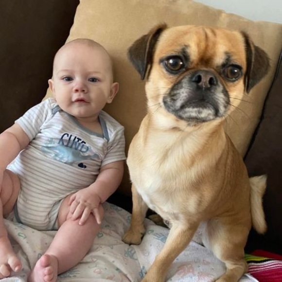 Profile Picture of Chantal Fiander (@chantalfiander1) on Poshmark